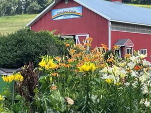 Image of Rainbow Ridge Farms