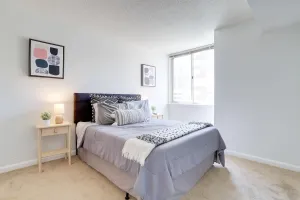 Image of Gorgeous Ballston Condo with Gym & Views