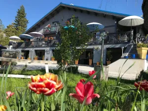 Image of L'Alpen Roc