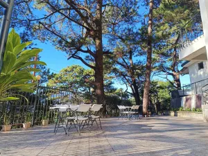 Image of Vista de Pino