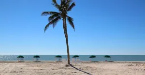 Image of Island Inn