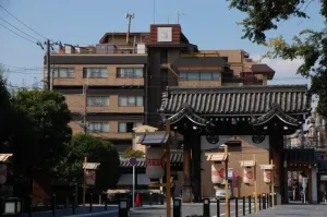 Image of Gion Fukuzumi
