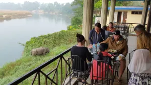 Image of Jungle Wildlife Camp