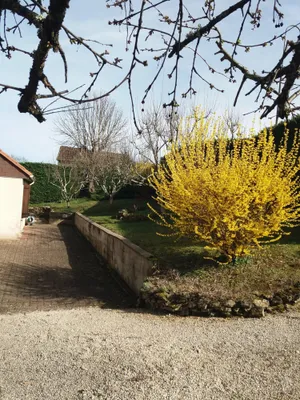 Image of Chambres chez l'habitant Coco2