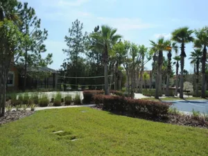 Image of Terra Verde 705