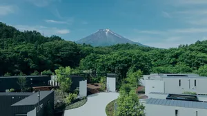 Image of BLANC FUJI