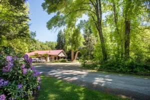 Image of Avalon House
