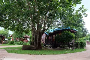 Image of Big Tree Resort