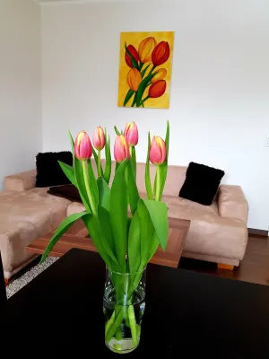 Image of Ferienwohnung an der Elbfähre