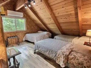 Image of Papa`s Packwood Cabin