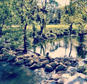 Image of Moosiyard Hometel Khaoyai