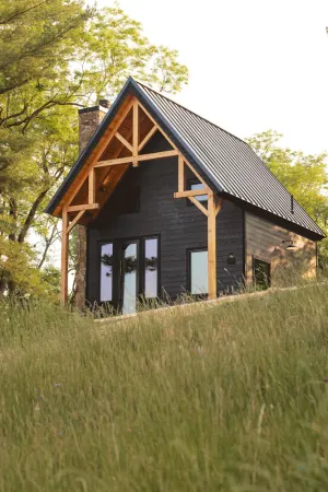 Image of #16 Fox Camp