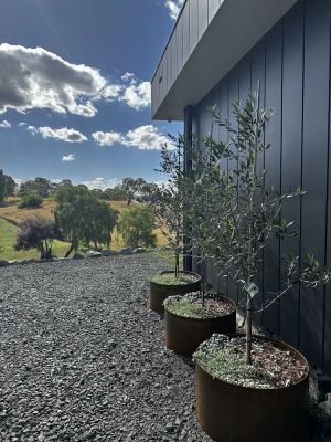 Image of The Horned Cow - award winning luxe semi-rural house 10mins from Orange