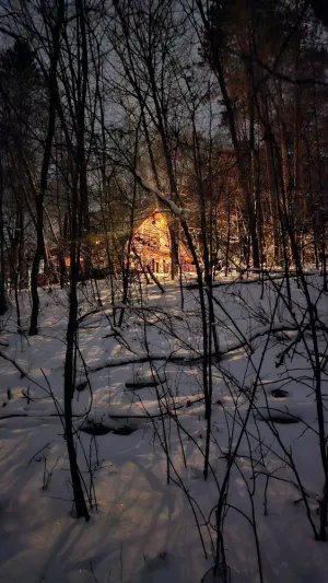 Image of Natures retreat!  Lakeside log cabin on 7 acres! Hike, Fish, Swim, Kayak, Spa!