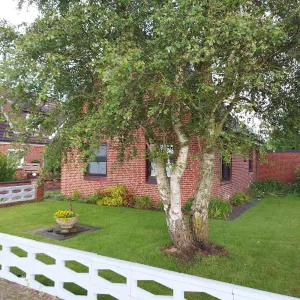 Image of Ferienhaus Hadler