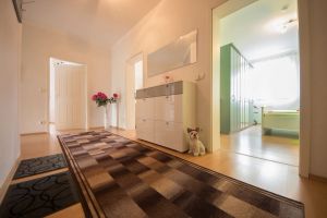 Image of Comfortable apartment in the center of Dresden