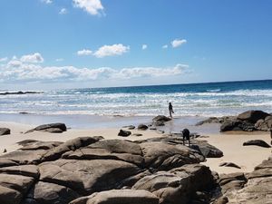 Image of Billy's Beach Retreat-Coolum Beach- Pet friendly home-linen included-free Wi-Fi