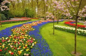 Image of Perfect Louisville vacation Getaway for 8
