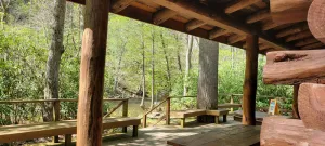Image of Stay WATERFRONT !   Stay CHEAT RIVER LODGE