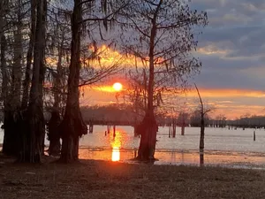 Image of Secluded Shades of Blue Lake Bistineau Sunsets Sleeps 19