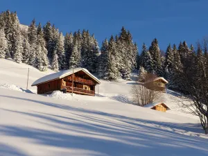Image of chalet - Les Saisies