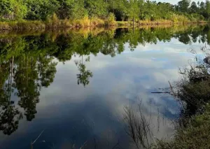 Image of Sunset Hide A Way South in Paradise,Naples,Florida with canal water front.