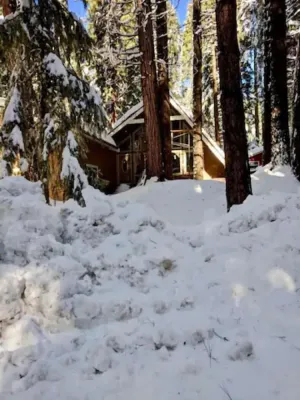 Image of Modern Cabin Get Away - close to APPLE HILL
