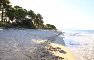 Image of Marina Corsa Res 4 rooms apartment 2 bathrooms 150 m from the sea Ghisonaccia