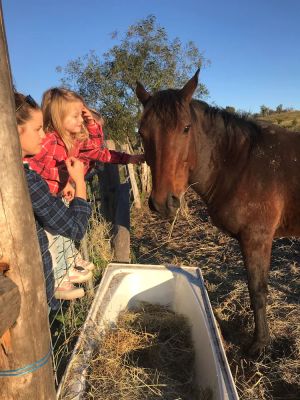 Image of Tallavalley Farm BnB