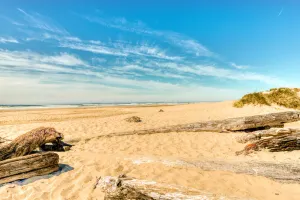 Image of Cozy & Well-Decorated Cabin with Close Beach Access - Dog Friendly