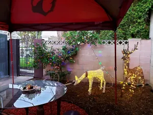 Image of Charming House with Garden