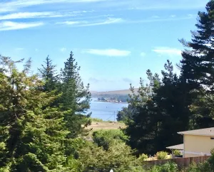 Image of BAY CANYON VIEW-CHARMING SINGLE LEVEL HOME- FENCED YARD + SPA-NEAR EVERYTHING!