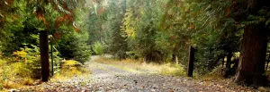 Image of Lifewater Ranch - A Place Of Rest And Healing.  Fishing, Hiking, Spa, Pool