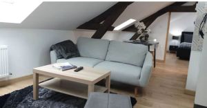 Image of Spacious apartment in the heart of Chalon with rooftop views