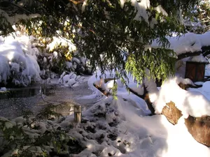 Image of Holiday apartment Siglistorf for 1 - 5 persons with 2 bedrooms - Holiday apartment