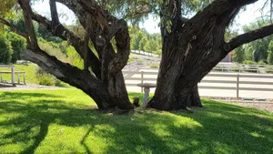 Image of Farm stay experience
