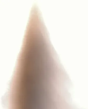 Image of House perfect