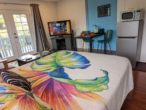 Image of Luxurious, Private Suite