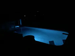 Image of 12 acre Ranch with Pickle Ball with lights, Pool, Jacuzzi views and Cows