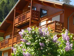 Image of Cozy Ski-In\/Ski-Out Apartment for 4 in Arêches-Beaufort, Terrace, Great Amenities