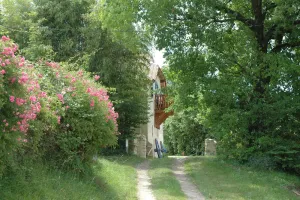 Image of Pet friendly  3 bedroom house.
