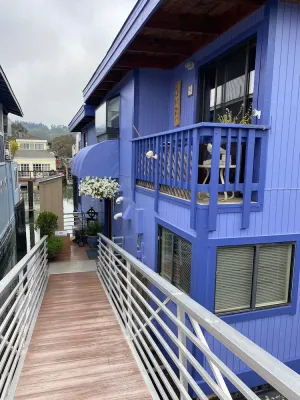 Image of Magical, light-filled houseboat with spectacular views.