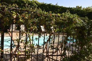 Image of Luxury air-conditioned 3-bedroom gîte with private terrace and shared swimming pool