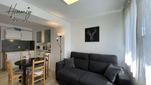Image of ASH - Cosy studio - La Menandière