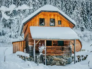 Image of Alpine house with a unique barrel sauna