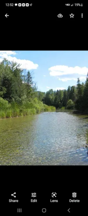 Image of Quiet Cabin on the Thunder Bay River