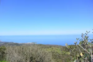 Image of FILETTA