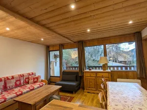 Image of Appartement cosy 4-6 pers balcon, ski au pied, parking couvert - FR-1-459-27