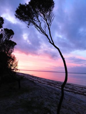 Image of Secluded beach, native bush--Clearwater Haven inc towels and linen