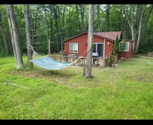 Image of Lucky Bear Lodge. Secluded Cabin in the Woods, Beach access. Pet friendly